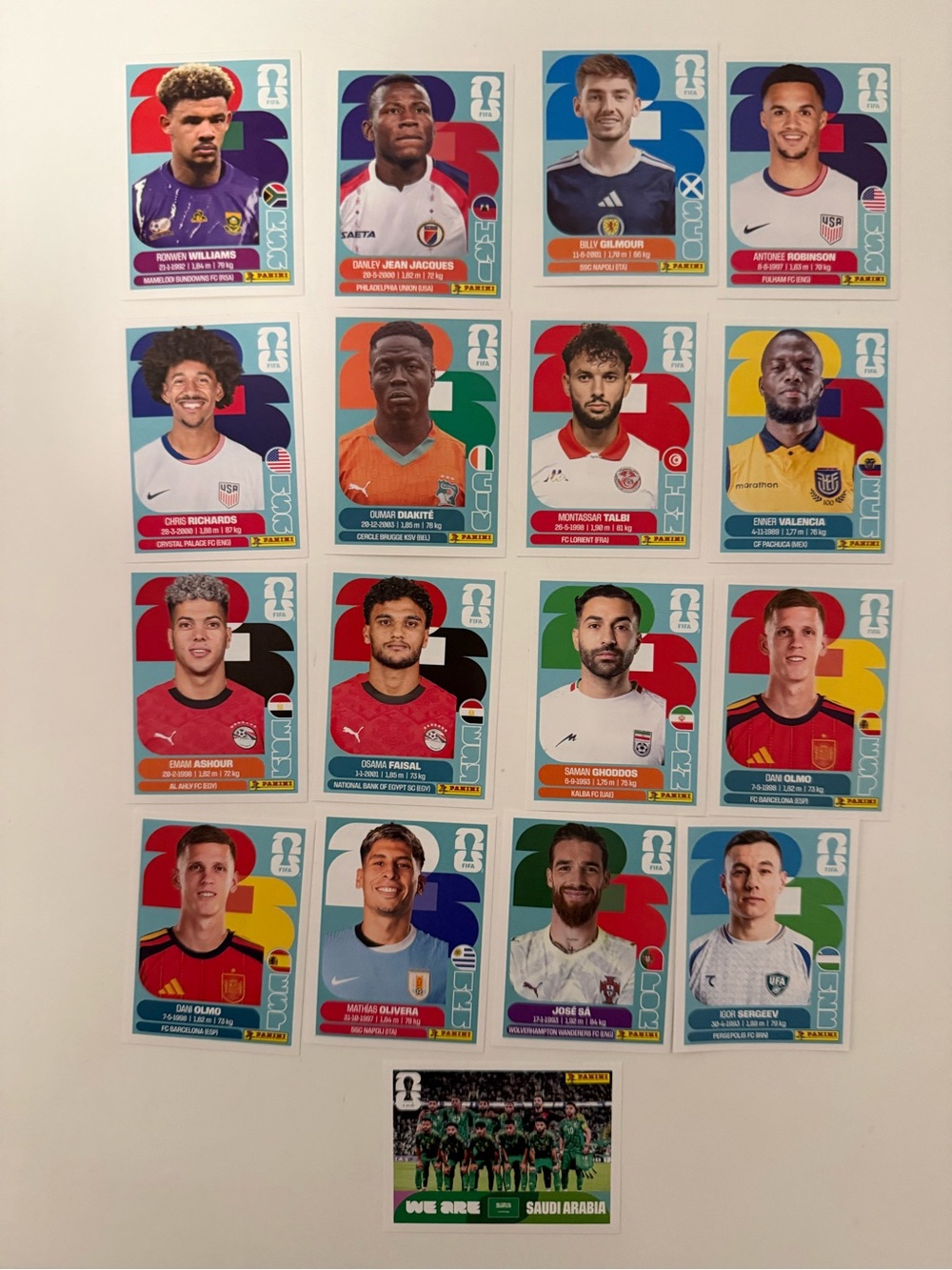 FIFA Panini Sticker Set